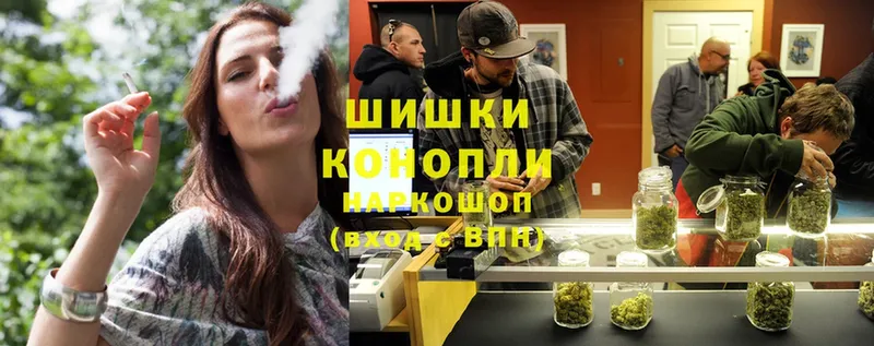 наркотики  Димитровград  Шишки марихуана Ganja 